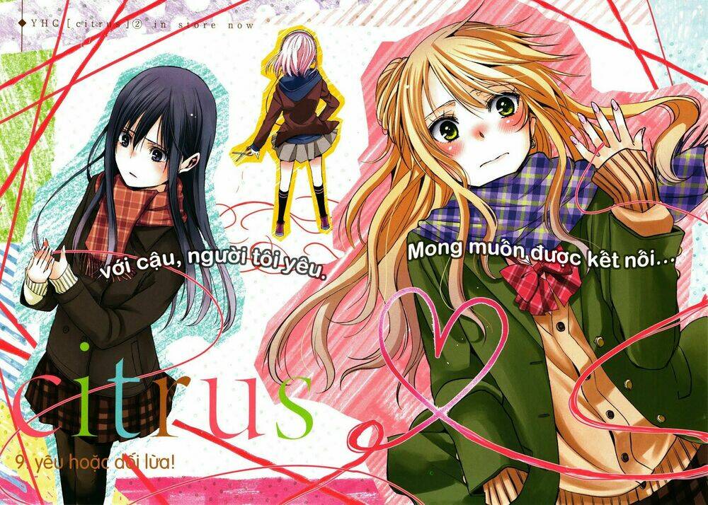 citrus-saburouta/2