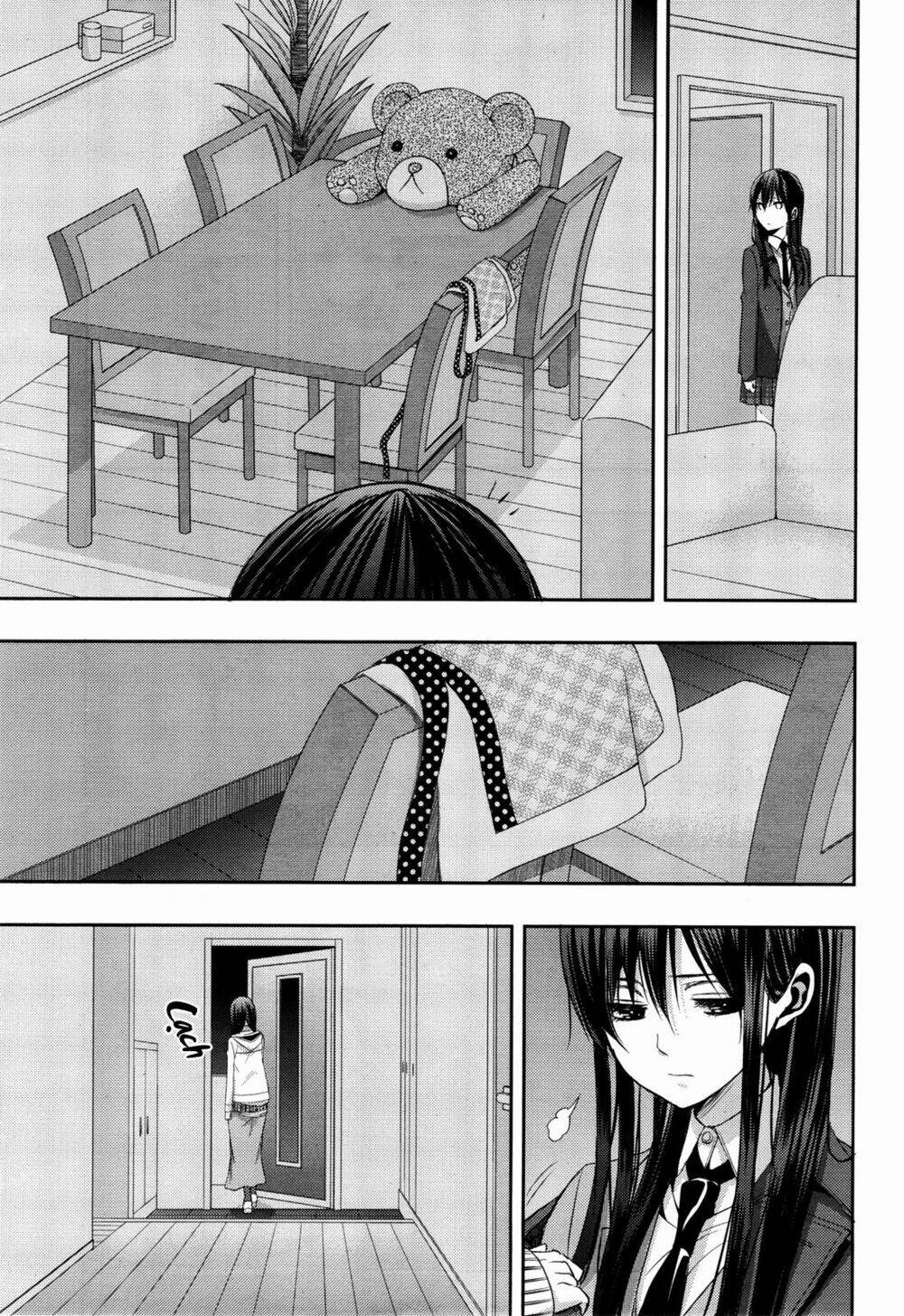 citrus-saburouta/24