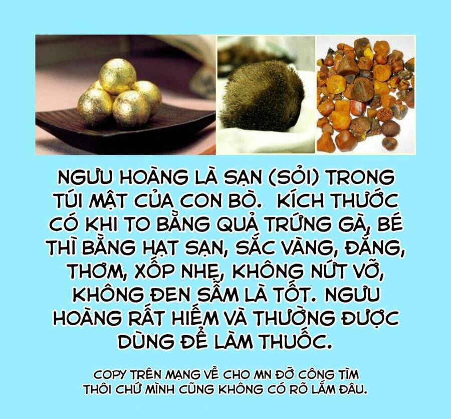 doc-thoai-cua-nguoi-duoc-si/34