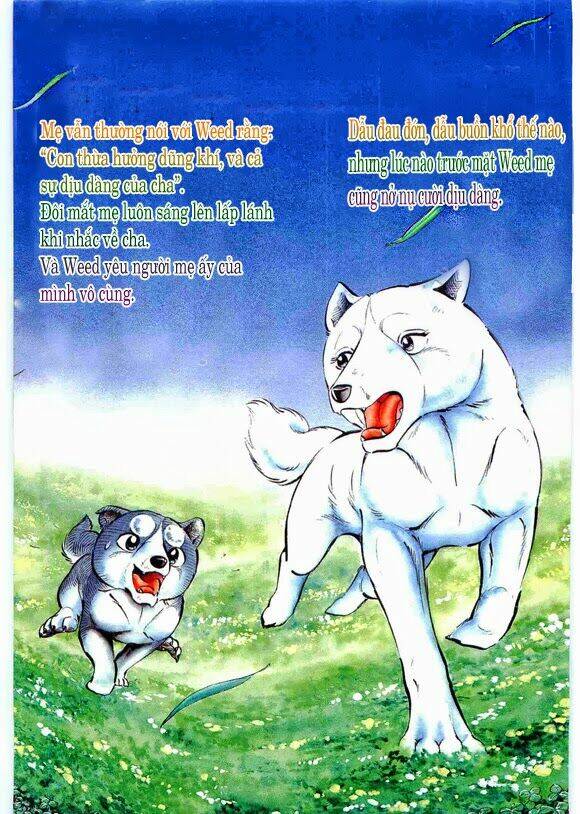 ginga-densetsu-weed-gaiden/3