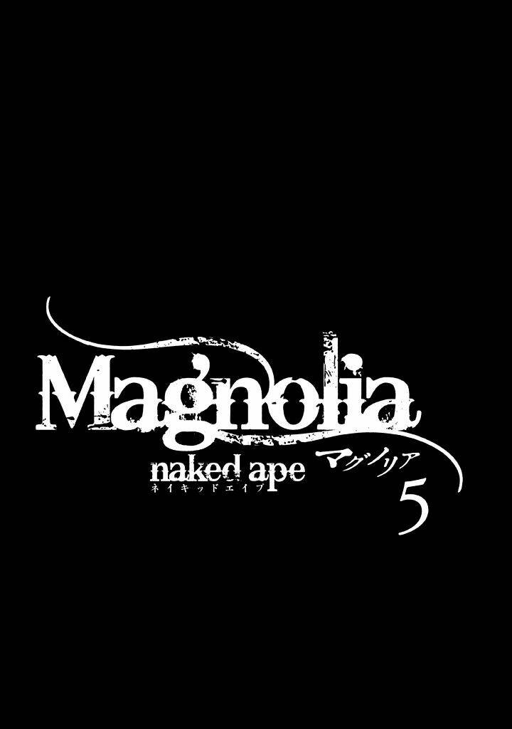 magnolia/3