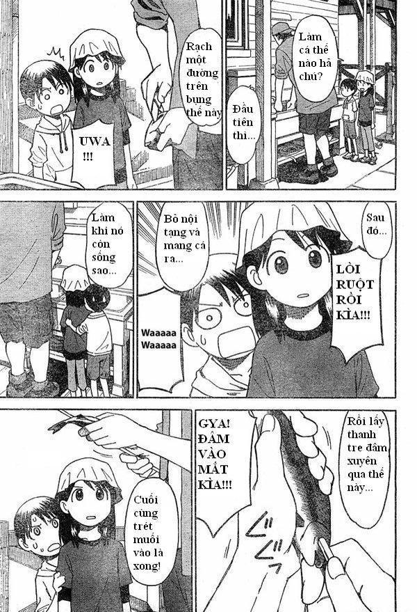 yotsubato/28