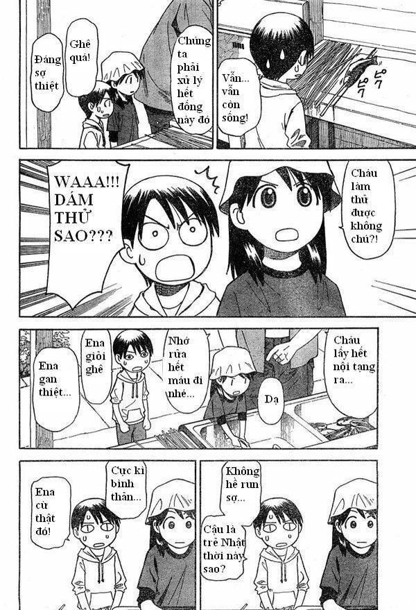 yotsubato/29